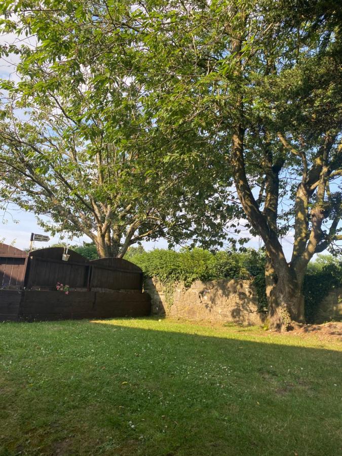 North Lodge Self Contained Guest Accommodations Kilkea Exteriör bild