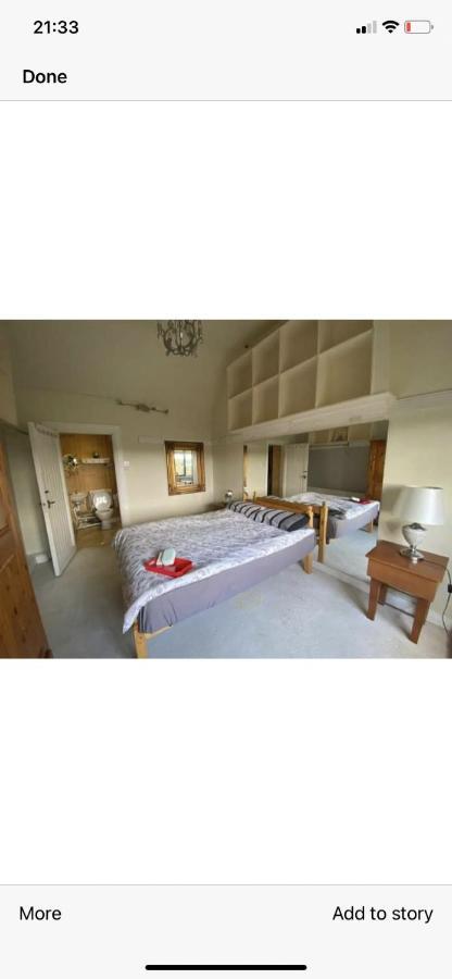 North Lodge Self Contained Guest Accommodations Kilkea Exteriör bild