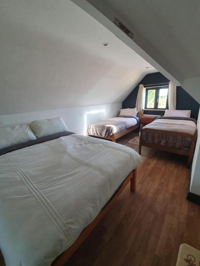 North Lodge Self Contained Guest Accommodations Kilkea Exteriör bild
