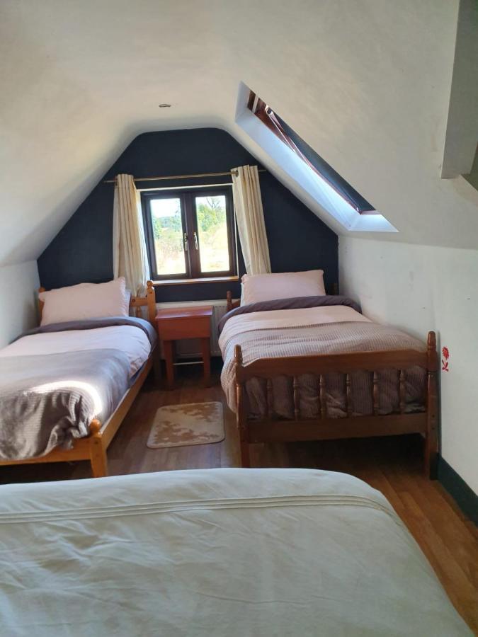 North Lodge Self Contained Guest Accommodations Kilkea Exteriör bild